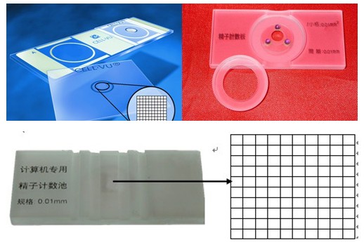 精子计数板