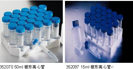 BD Falcon15mL,50mL离心管|规格:高透明度聚丙烯15ml锥形离心管(RCF:6000),17mm×120mm,50/包,10包/箱