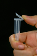 JET 1.5mL易翻盖离心管|规格：容量 1.5mL，未消毒，500支/包，4000支/箱