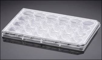 美国BD PureCoat细胞培养板（24孔）|规格：24孔Amine cultureware细胞培养板 5块/包，10包/箱