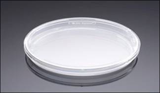 美国BD PureCoat细胞培养皿|美国BD PureCoat细胞培养皿  规格：100mmAmine cultureware细胞培养皿 10/包，4包/箱