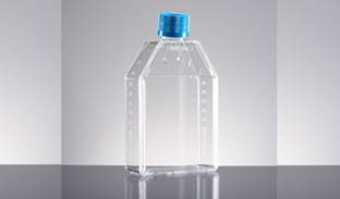 美国BD 细胞培养瓶250ml|规格：250ml斜颈75 cm2 Amine cultureware细胞培养瓶；数量与包装 5/包，10包/箱；5/包，1包/箱