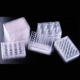 美国BD细胞培养板|规格：6孔平底，单孔生长面积9.6cm2，单孔容积15.5mL，1块/包，50块/箱