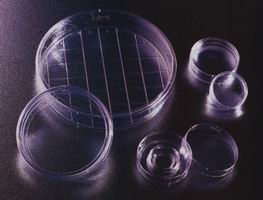 美国BD细胞培养皿|规格：直径*高 35*10mm，生长面积11.78 cm2，工作容积2.5-3.0mL，培养面 标准TC面，20只/包，500只/箱