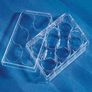 Corning细胞培养板|细胞培养板  规格：6孔，平底，5/包，100/箱