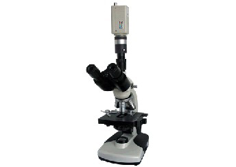 XSP-BM-2CBAC