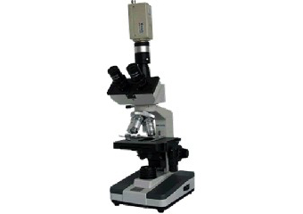 XSP-BM-8CAC
