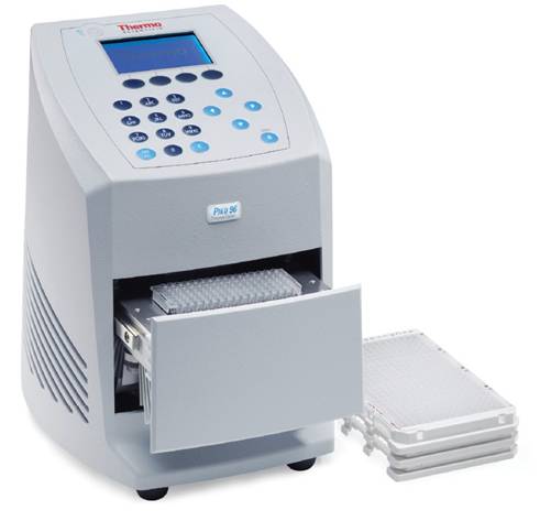 美国热电Thermo Piko快速PCR仪