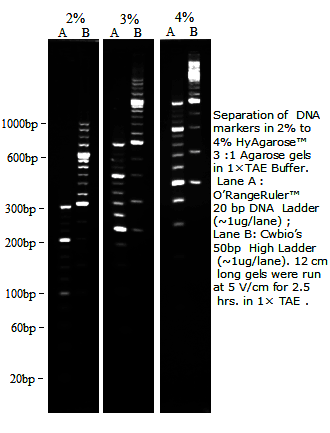 HyAgarose™ 3:1琼脂糖