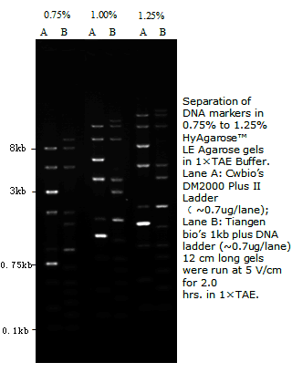 HyAgarose™ 低电渗琼脂糖