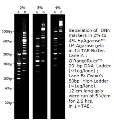 HyAgarose™ 低熔点琼脂糖