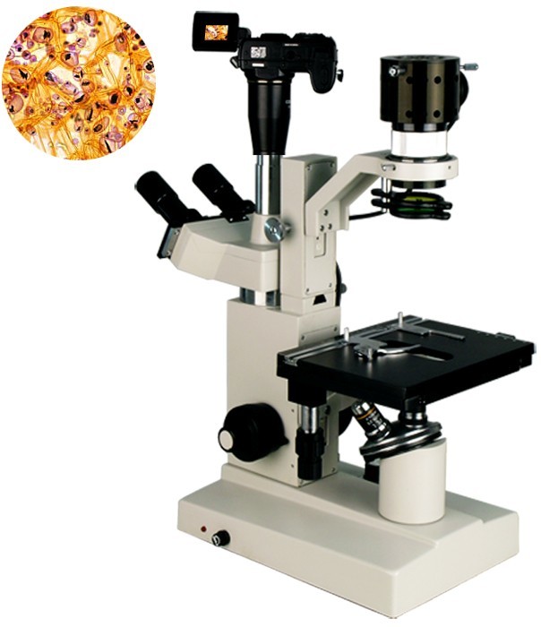LAB-EYE 15C系列倒置生物显微镜——国产优质产品