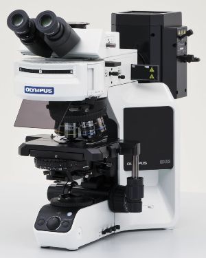 日本奥林巴斯 OLYMPUS BX53型全功能荧光生物显微镜