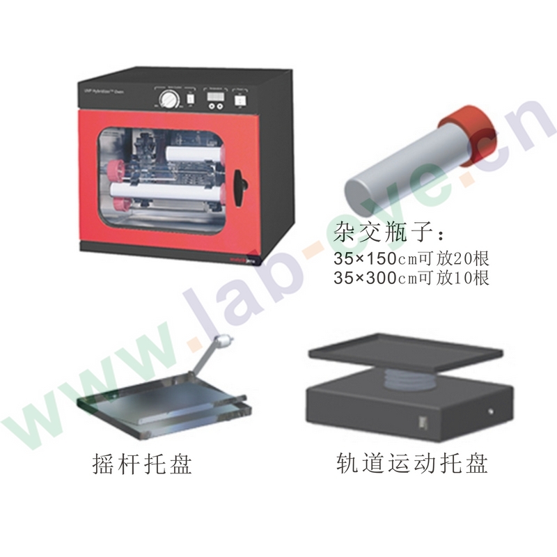 美国UVP经济型HB-1000Hybridizer分子杂交仪(炉、箱)